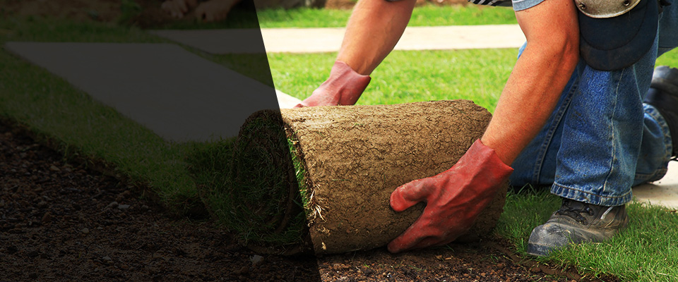 Penrose Landscapers